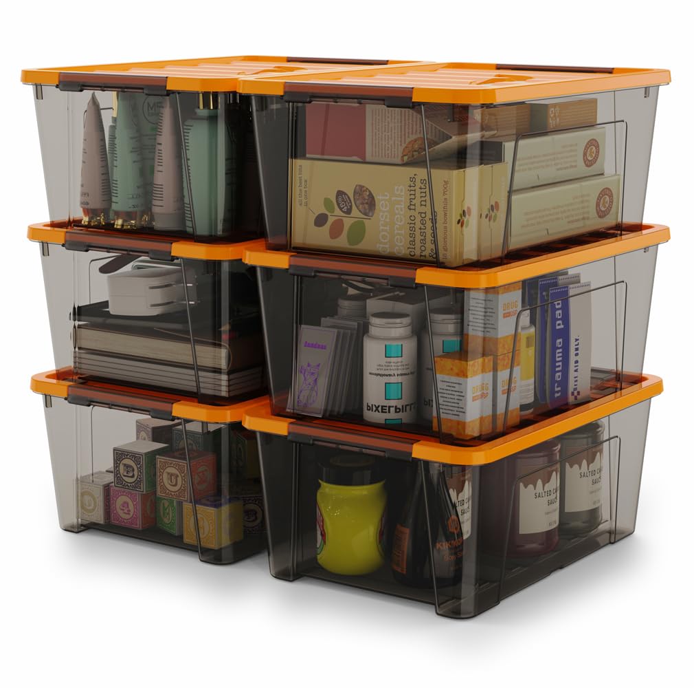 WYT Clear Storage Latch Bins, 6-Pack Storage Organizer Box with Handle and Lids, 5-Litre