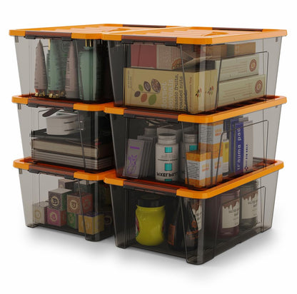 WYT Clear Storage Latch Bins, 6-Pack Storage Organizer Box with Handle and Lids, 5-Litre