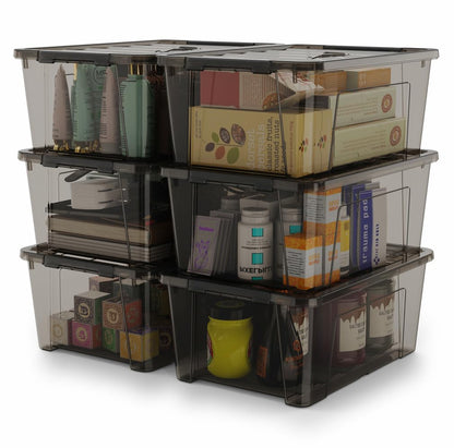 WYT Clear Storage Latch Bins, 6-Pack Storage Organizer Box with Handle and Lids, 5-Litre