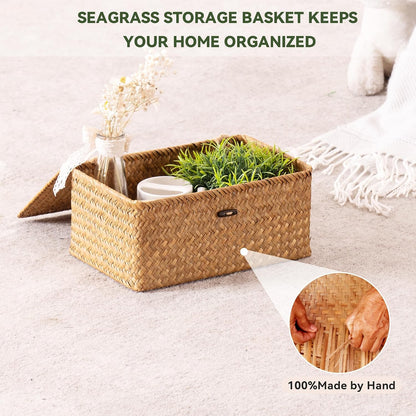 Nonam Wicker Storage Basket with Lid,Seagrass Shelf Basket Set of 3,Nautral